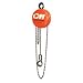 Columbus McKinnon 4630 Cyclone Hand Chain Hoist with Hook, 6 ton Capacity, 10' Lift Height