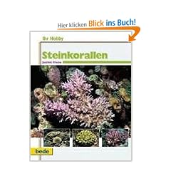 Steinkorallen, Ihr Hobby