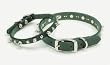 Coastal Pet Harley-Davidson Spiked Leather Dog Collar (Black, 14 Inch L x 5/8 Inch W)