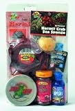 Hermit Crab Starter Kit,Pet Aid, Pet Aid &Grooming, Pet & Supplies
