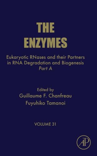 Eukaryotic RNases and Their Partners in RNA Degradation and Biogenesis: Part A (The Enzymes)