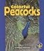 Colorful Peacocks (Pull Ahead Books)