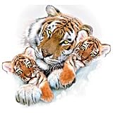 Siberian Snow-Tiger Adult T-Shirt