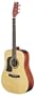 Washburn D10SLH Left-Handed Dreadnought Acoustic Guitar (Natural)