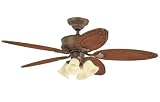 Hunter 52 Markham Distressed Relic Ceiling Fan w/ Lite