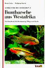 Afrikanische Cichliden 1 - Buntbarsche aus Westafrika - Ein Handbuch f&uuml;r Bestimmung, Pflege und Zucht - Horst Linke, Wolfgang Staeck