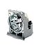 VIEWSONIC Replacement Lamp For The Pj256d
