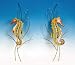 2 Tropical SEA Horse Fish Wall ART Hanging Home Decor