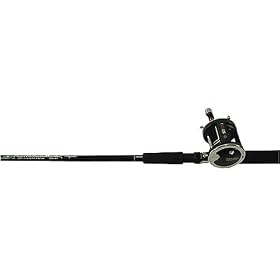 320GTII Graphite Levelwind Downrigger System Rod and Reel Combo by Fishing Rod & Reel Combos