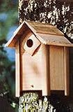 Cedar - Birdhouse