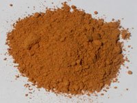 Annatto Seed - Powder by Annatto Seeds Whole