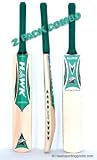 Hawk Cricket Bat Combo - Master Blaster (SH)