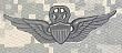 Master Aviator - Metal Insignia - Black - Full Size