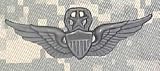 Master Aviator - Metal Insignia - Black - Full Size