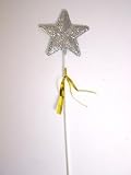 Kitchen & Housewares : Wand Glitter Silver Star,With Tinsel