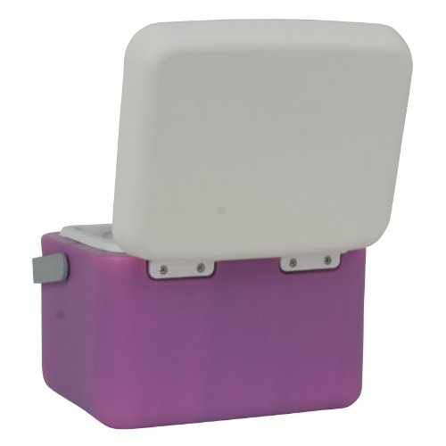 10T Fridgo 5 Glacière passive Lavande/Gris Clair 27 x 22 x 19,5 cm