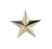 Forge 3D 5 Point Gold Star Lapel Pin (1 Pack)