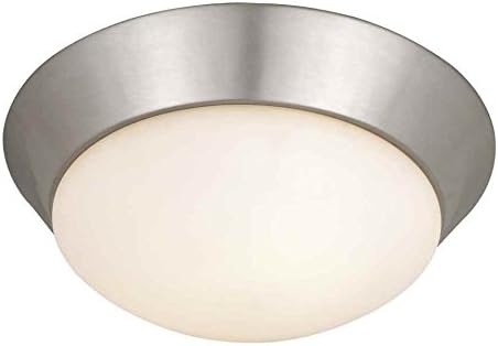 Tertial Brushed Nickel .Ceiling Light