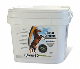 Ramard Total Gut Digestive Health 180 Day