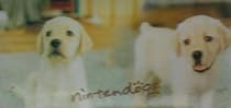 Venom Nintendo Licensed Nintendogs Labrador Graphic Skin for DS Lite (Nintendo DS)