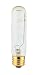 60 Watt Tubular T10 Light Bulb / Medium Base / Clear / 60T10