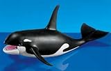 Orca Whale