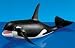 Orca Whale
