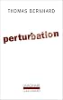 Perturbation