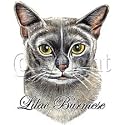 Lilac Burmese Cat Adult T-Shirt