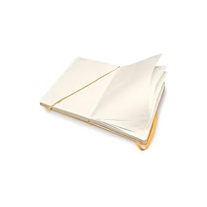 Moleskine 2014 Planner 12 Month Daily Yellow Orange Large