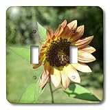Patricia Sanders Flowers - Peach Garden Sunflower Macro Flowers Photography - Light Switch Covers - double toggle switch