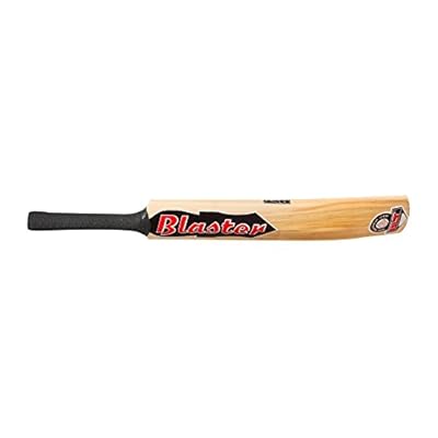 BLT Blaster Kashmir Willow Cricket Bat
