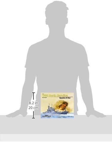 USS North Carolina Squadron At Sea