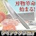 ダイアチタン包丁　190