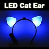 ڸǭۡڥ֥롼ۤĤдñ˥ץ쵤ʬLED塼