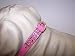Kitchen & Housewares : Heidi Vinyl Dog Collar 10in Pink 94P