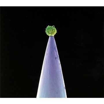 New Blood [Doppio CD]