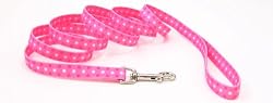 3/4" Attr Trng Ld PDT Pnk Dots