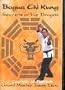 Bagua Chi Kung: Secrets of the Dragon (2 DVD Set)