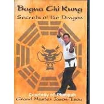 Bagua Chi Kung: Secrets of the Dragon (2 DVD Set) by 