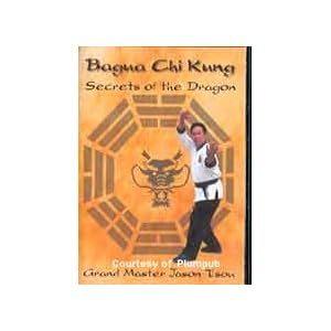 Bagua Chi Kung: Secrets of the Dragon (2 DVD Set) by 