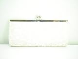 La Regale Lace Evening Clutch Handbag Purse ~ Champagne In Color