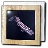 Review 3dRose LLC  / FRILLED SHARK - 6 Inch Tile Napkin Holder
