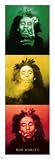 Bob Marley - 3 Pics 21x62
