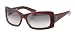 New color 2008 Tres Noir Optics 