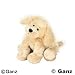 Webkinz that I'm begging for by Allison