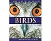Encyclopedia of Birds