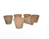 Greenhouse Collection Small Peale Pots (Set of 6)