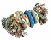 JW Pet Company Dog Gnaw It! Teether Small Hard Rubber Dog Toy Assorted