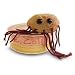 E.Coli Mini Plush in Petri Dish by Giant Microbes